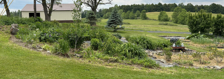 GPAM Resolutions on Food Security