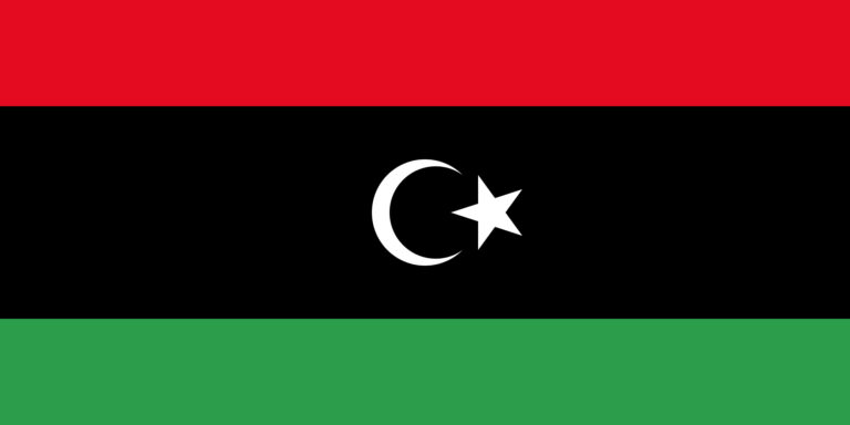 GPAM Resolutions on Libya