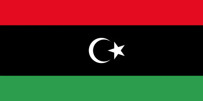 GPAM Resolutions on Libya
