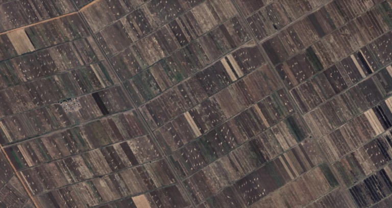 Why Do We Grow What We Don’t Eat and Import What We Do Eat in Sudan and the Global South