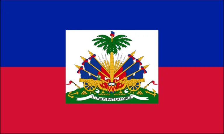 Global Pan African Movement Statement on Foreign Intervention in Haiti